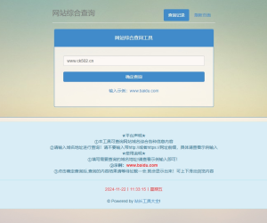 网站站长综合seo查询工具网站源码